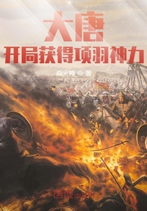 ��ʷС˵:���ƣ����ֻ����������