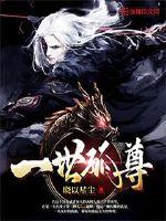 ����С˵:һ������