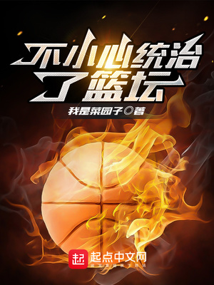 ����С˵:��С��ͳ������̳