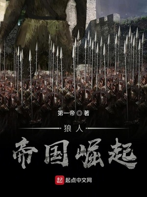 ����С˵:���˵۹�����