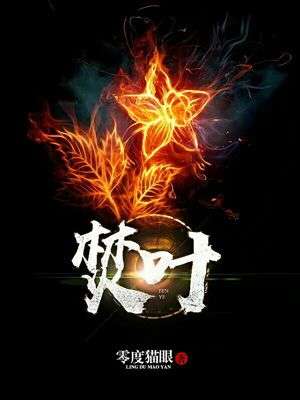 ����С˵:��Ҷ