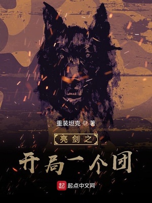 历史小说:亮剑之开局一个团 历史小说:亮剑之开局一个团