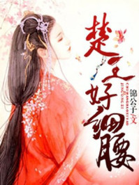 ����С˵:������ϸ��