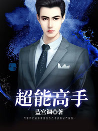 ����С˵:���ܸ���