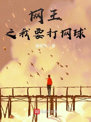 历史小说:网王之我要打网球 历史小说:网王之我要打网球