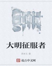 ��ʷС˵:����������