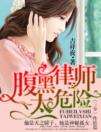 言情小说:一路上有你,律师老公太危险 言情小说:一路上有你,律师老公太危险