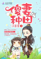 言情小说:傻妻种田 言情小说:傻妻种田