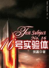 ����С˵:ʮ����ʵ����