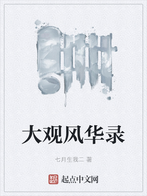 ��ʷС˵:��۷绪¼