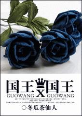 玄幻小说:国王X国王 玄幻小说:国王X国王