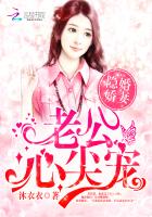 ����С˵:�۷����