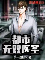 ����С˵:������˫ҽʥ