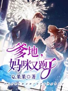 ����С˵:��������������