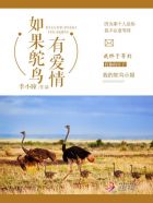 ����С˵:��������а���