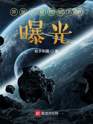 ����С˵:���ֻ�������ʯ���ع�