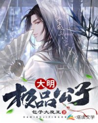 ��ʷС˵:������Ʒ����