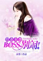 都市小说:BOSS别闹 都市小说:BOSS别闹