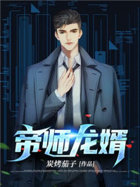 ����С˵:��ʦ����