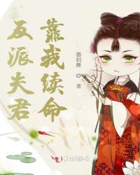 ����С˵:���ɷ����������