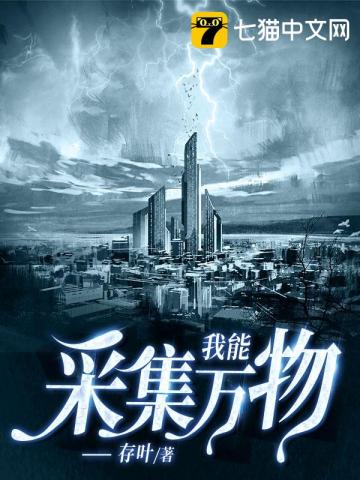 ����С˵:���ܲɼ�����