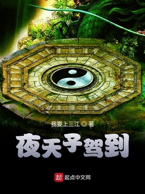 武侠小说:夜天子驾到 武侠小说:夜天子驾到