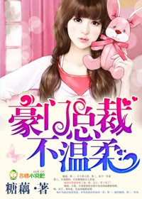 言情小说:豪门总裁不温柔 言情小说:豪门总裁不温柔