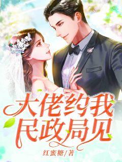 言情小说:大佬约我民政局见 言情小说:大佬约我民政局见