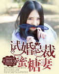 言情小说:试婚总裁蜜糖妻 言情小说:试婚总裁蜜糖妻