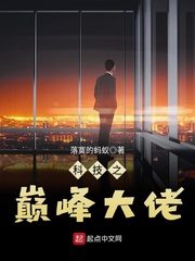 ����С˵:�Ƽ�֮�۷����