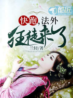 ����С˵:���ܣ������ͽ����