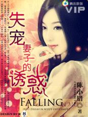 ����С˵:ʧ�����ӵ��ջ�