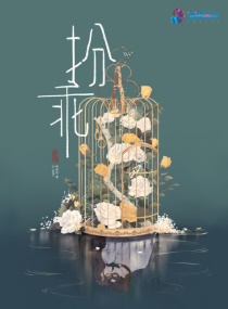 ����С˵:���