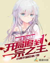 ����С˵:�������棬����׷��һ��֮��