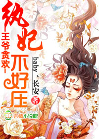 ����С˵:�����޶ȣ���������