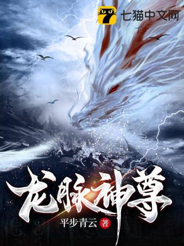 ����С˵:��������