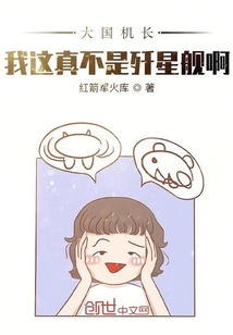 言情小说:大国机长:我这真不是歼星舰啊 言情小说:大国机长:我这真不是歼星舰啊