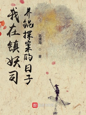 ����С˵:��������˾����̽��������