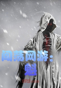 ����С˵:�������Σ���