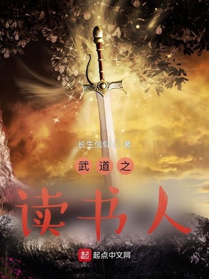 ����С˵:���֮������