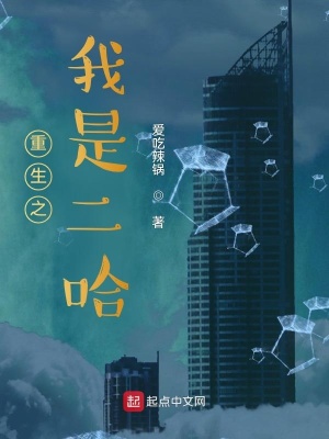 ����С˵:����֮���Ƕ���