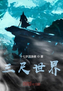 ����С˵:��������