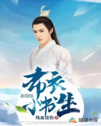 言情小说:布衣小书生 言情小说:布衣小书生
