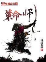 ����С˵:����ʦ