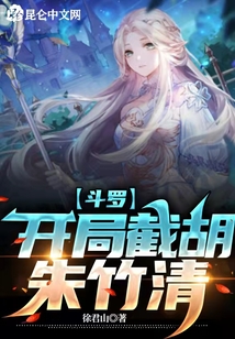 ����С˵:���ޣ����ֽغ�������