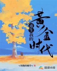 ����С˵:�����ҵĻƽ�ʱ��