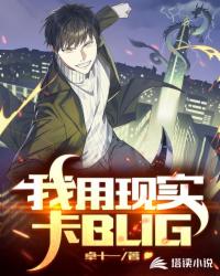 ����С˵:������ʵ��BUG