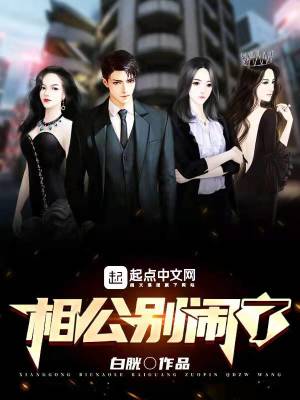 ����С˵:�๫������