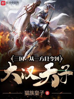 ��ʷС˵:��������һ�����������