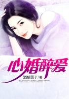 ����С˵:�Ļ�����